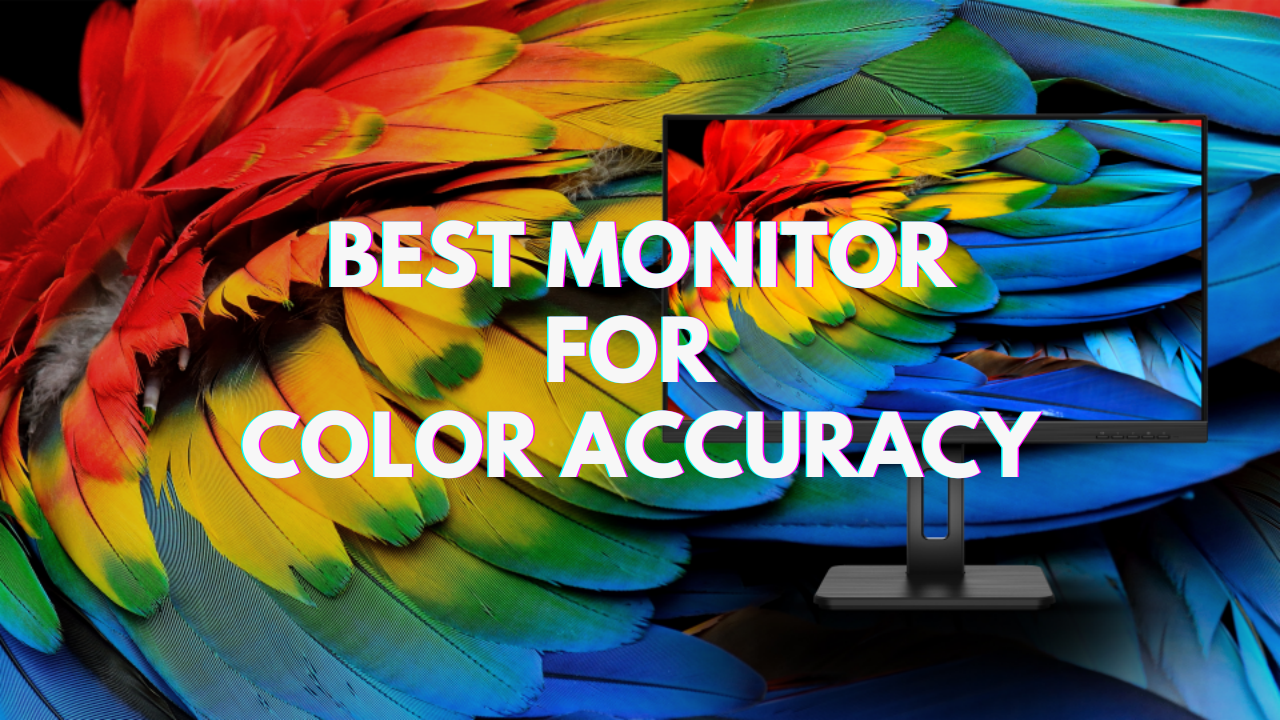 How to Choose the Best Monitor for Color Accuracy – Arzopa